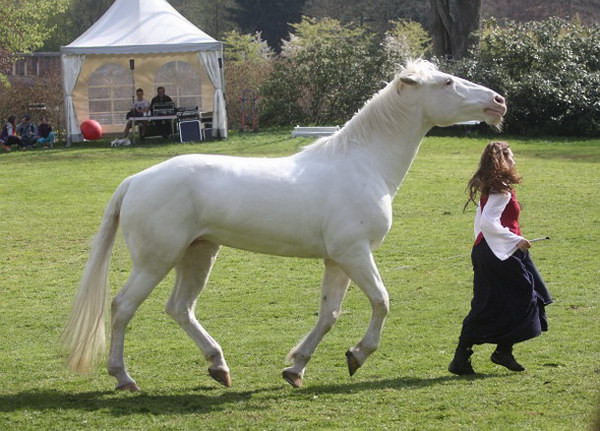 Landpartie   127.jpg